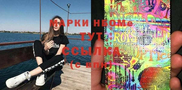 сатива Няндома