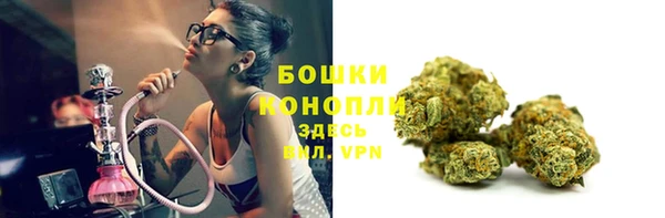 бошки Осташков