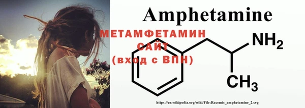сатива Няндома