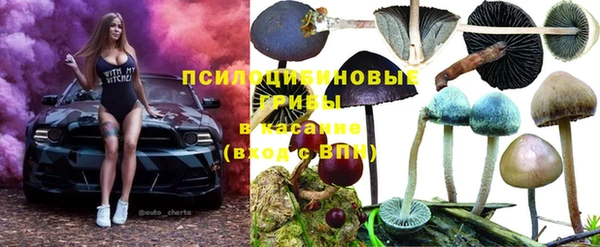 бошки Осташков
