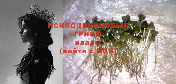 сатива Няндома