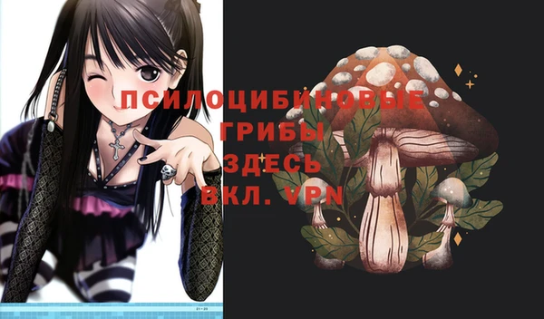 сатива Няндома