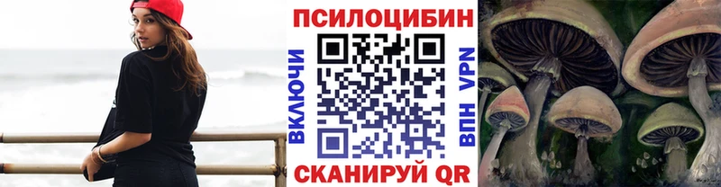 цена наркотик  Калачинск  Галлюциногенные грибы Cubensis 